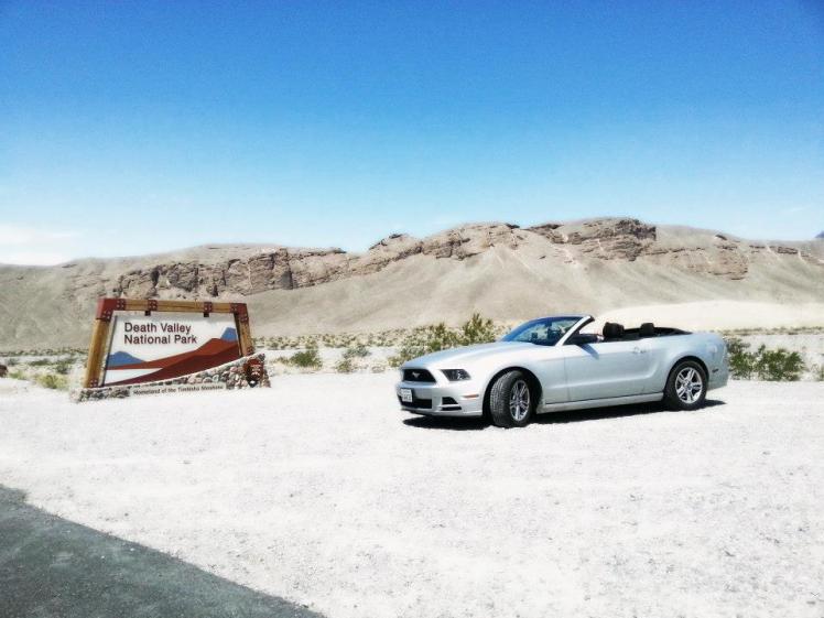 304908_10151377521063496_622311656_n